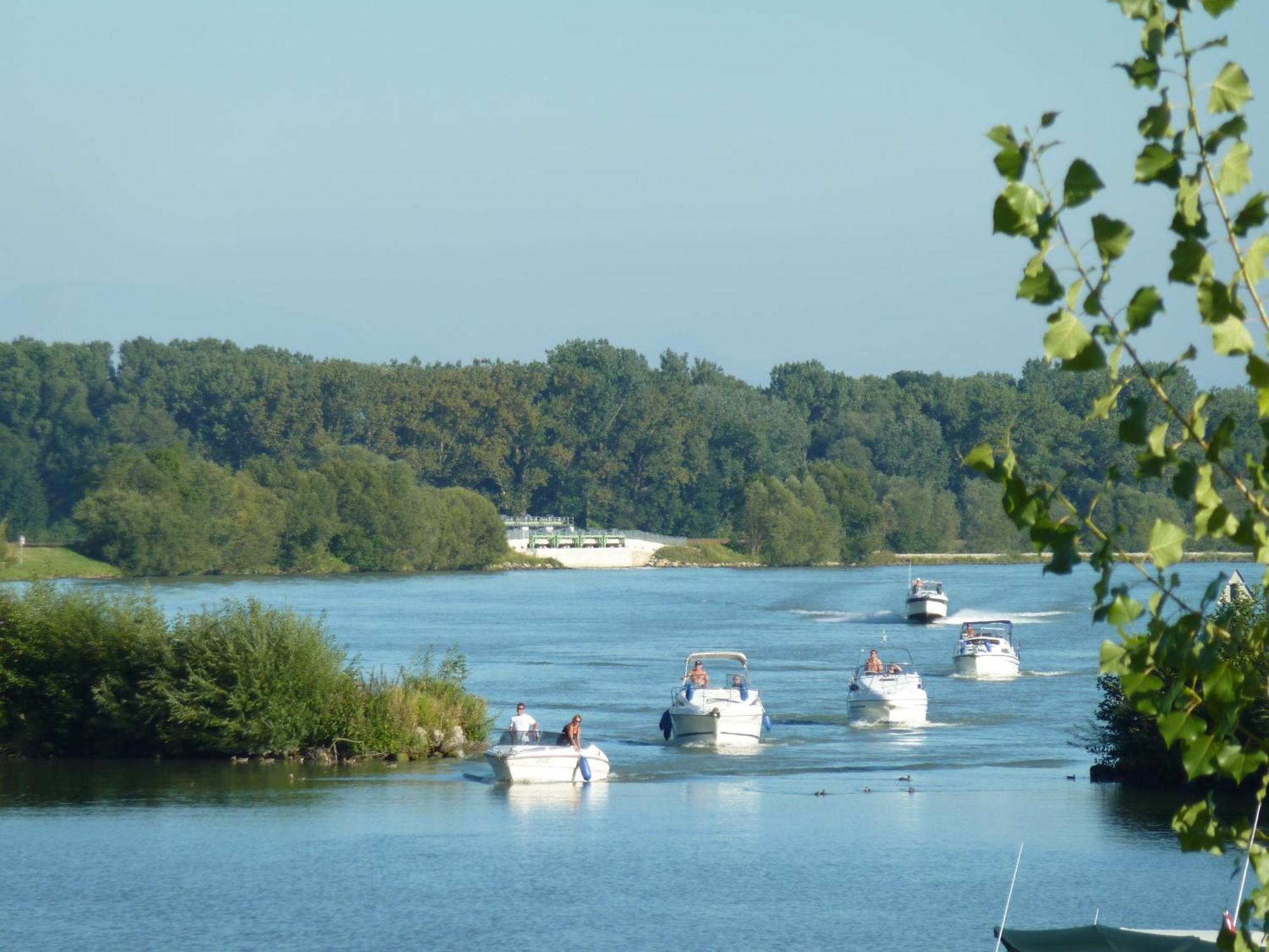 Camping & Pension Au An Der Donau Exterior foto