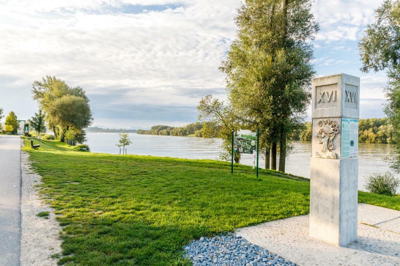 Camping & Pension Au An Der Donau Exterior foto