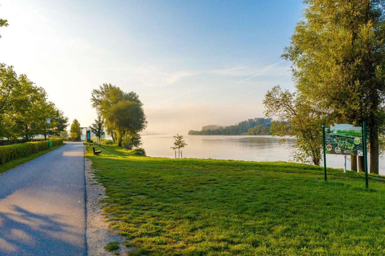 Camping & Pension Au An Der Donau Exterior foto